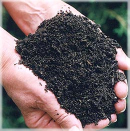 Присяжнюк и Борзило быстро раздадут земли Ирпеня в «хорошие руки»