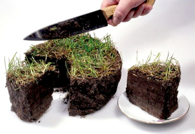 Поул-позишн* Держзембанку