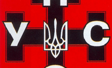 УНА-УНСО была среди "технических" партий, подконтрольных ПР, на выборах в Раду