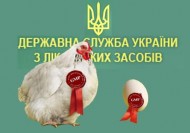 Гослекслужбу Алексея Соловьева обвиняют в масштабной коррупции