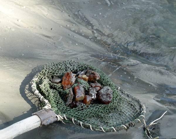 О чем плачет украинский янтарь