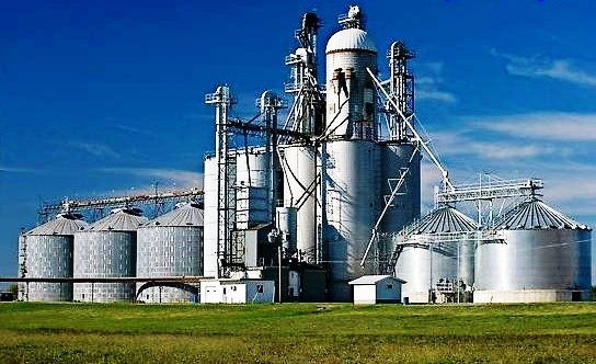 Войны военного королевства: как развалить предприятие и пойти на повышение