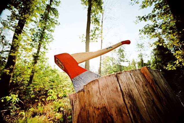 В Киеве хотят раздерибанить Голосеевский национальный парк