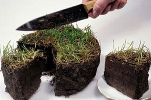 Исповедь рейдера. Пролог