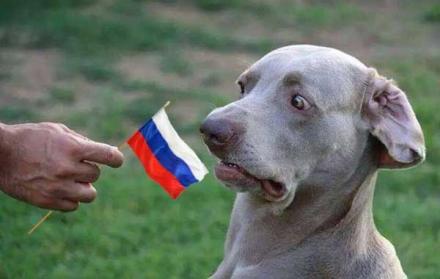 Терроризм в тылу АТО. Коррупционные метастазы «русского мира»