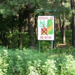 За часів Януковича на Київщині незаконно забудували щонайменше 366 гектарів лісу