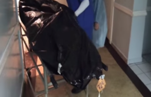 Где и как хоронят российских солдат «заблудившихся» в Украине (ВИДЕО)