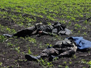 Под Иловайском найдены еще 150 тел украинских военных - СМИ