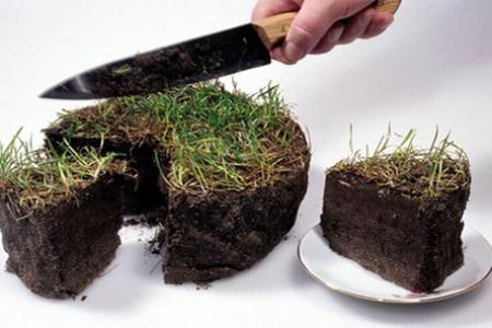 Любі списочники Ляшка