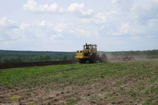 Земельный рынок нуждается в реформах