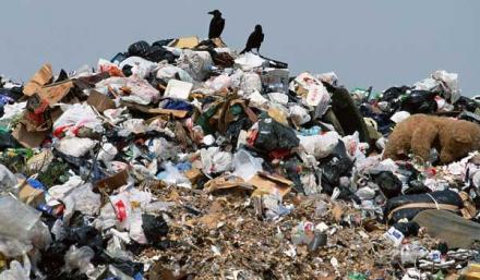 Олигархи помоек. Как коррупционеры наживаются на отходах