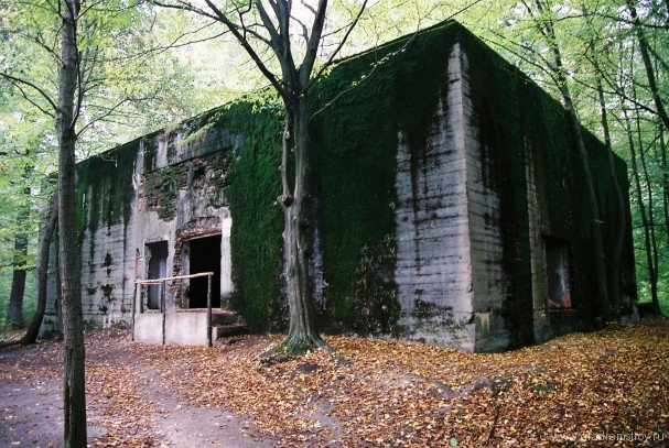 Путин залез в бункер. Паранойя? — журналист