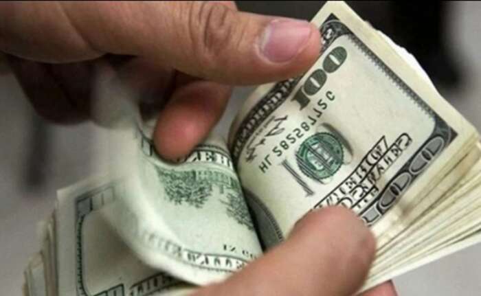 For what amount did the OPG  "sell" the case of the Puscha-Vodytsya embezzlement?