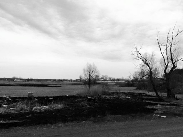 60 км до Луганска. Неприукрашенная картина