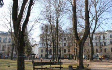 Сьогодні зрізатимуть дерева у сквері св. Юра