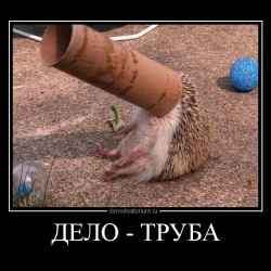 В "Укрэксимбанке" приступили к реструктуризации долгов - депозит лучше забрать?