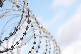 Осужденный за госизмену профессор Афанасьев скончался в колонии