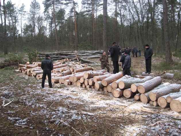 Селяни на Волині бунтують проти вирізання лісу