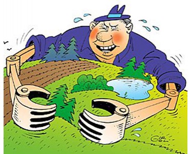 Чем отличается дележ земли на Закарпатье и Прикарпатье