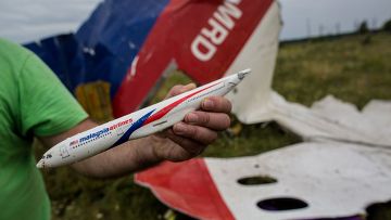 Гибель рейса MH17: «Гэбэшный вброс» и «белый шум»