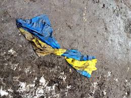 Немецкий политик: если Мариуполь или Одесса падут — Путин покажет, что ЕС недееспособен