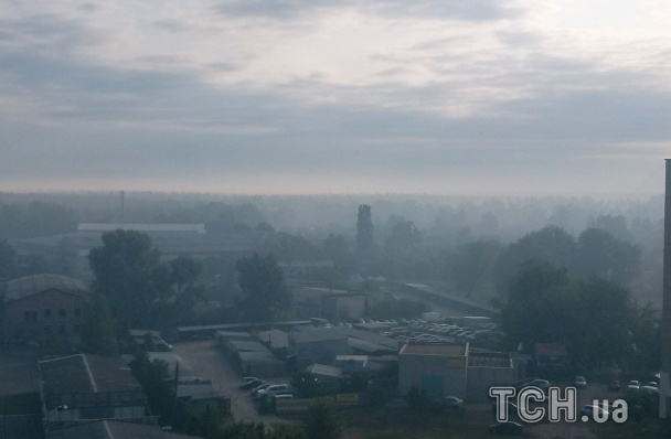 ЗМІ: в Києві в районі ДВРЗ загорівся ліс (фото)