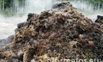 Державне підприємство “Чернігівторф” очолює агент Кремля