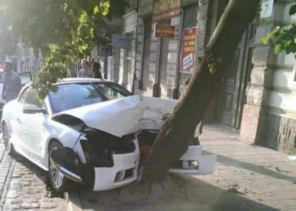 У Львові легковик іноземців зніс дерево під час паркування