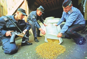 Добычу янтаря на Ривненщине крышует милиция и депутаты