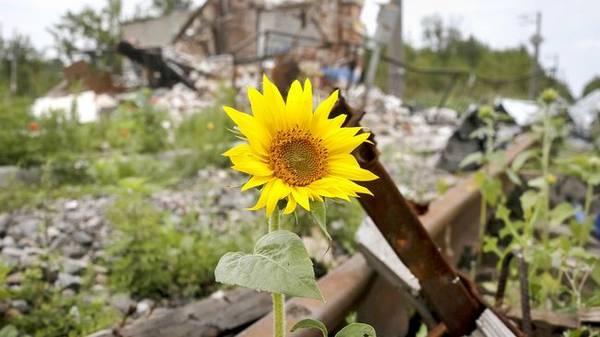 «Землю с собой не заберешь». Как выживают фермеры в зоне фронта