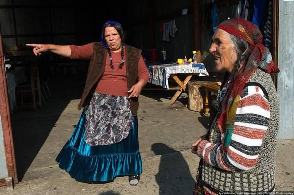 Цыганская наука жить и выживать. Ромы в Украине: 1897 – 2001 годы