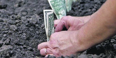 Председатель "колхоза" под Севастополем присвоил 112 миллионов от продажи земли