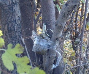 На растяжках в «ЛНР» за день подорвались три человека
