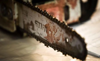 Петербургский кинолог расчленил знакомую бензопилой и утопил в Финском заливе