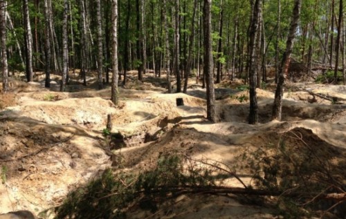 Янтарная лихорадка, или Как спасти экологию и наполнить бюджет