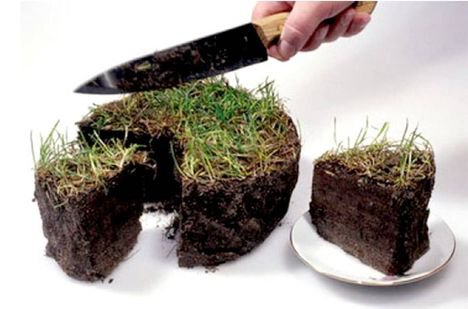 В Сумах брат депутата-бютовца Вадима Лысого «прихватизирует» гектар земли за счет горожан