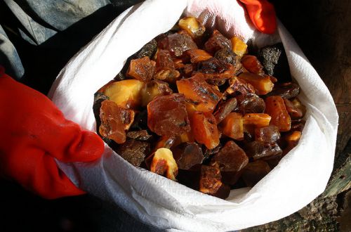 Премьер-министр шантажирует Президента «янтарными делами» Авакова