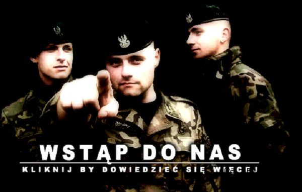 100000 вооруженных польских добровольцев готовы истреблять российского оккупанта!