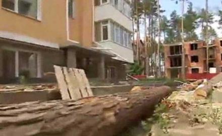 Украденные земли. Каменные джунгли «ирпенской мафии»