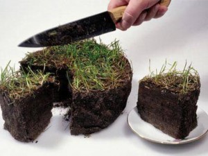 ПРОБАЛОГІВСЬКА МЕРША ПЕРЕЧИНА ДЕРИБАНИТЬ ЗЕМЛЮ “ДЛЯ СВОЇХ”