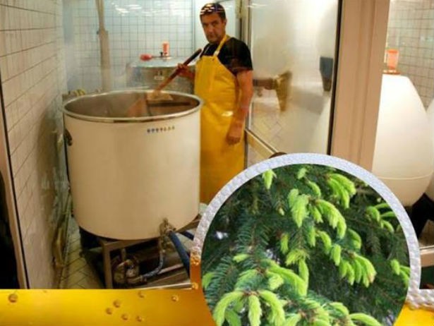 Екс-помічник Януковича заробляє варінням пива на Закарпатті