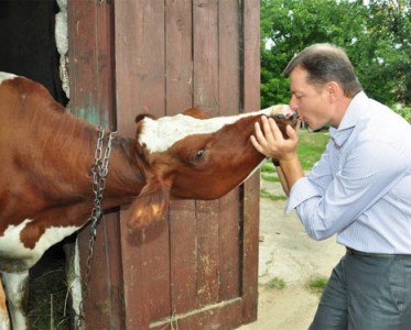 Чому в парламенті не буде коаліції з «Опоблоком»