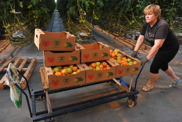 День рождения гривны: овощи подорожали в 8 раз, а коммуналка в 30