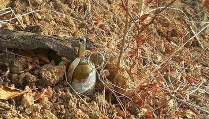 В Луганской области украинские военные подорвались на "растяжке": есть погибшие