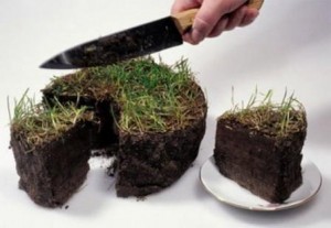 Фирма почетного консула Литвы незаконно получила 7 га земли под Харьковом