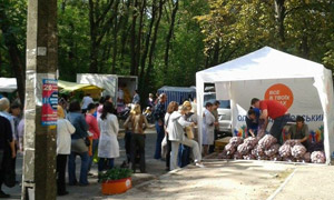 У Києві почали "обробляти" виборців картоплею