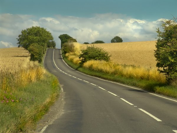 Трест, который лопнул. МИУ снова село в лужу