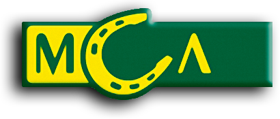 Оператори лотерей "Патріот" і "М.С.Л." потрапили під санкції