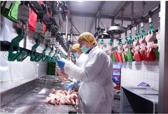 Яку роботу пропонують українцям в Ізраїлі, Литві і Фінляндії?