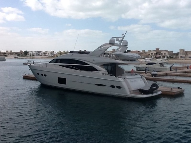 Суд арестовал имущество Курченко: опубликованы фото